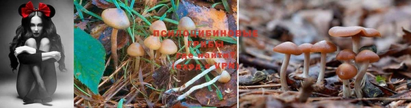 мескалин Горно-Алтайск