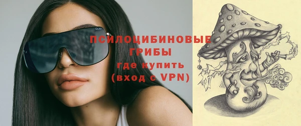 сатива Горнозаводск