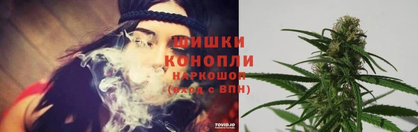 сатива Горнозаводск