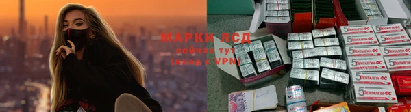 сатива Горнозаводск