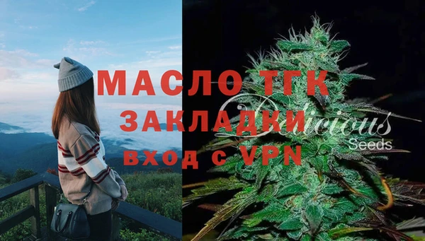 сатива Горнозаводск