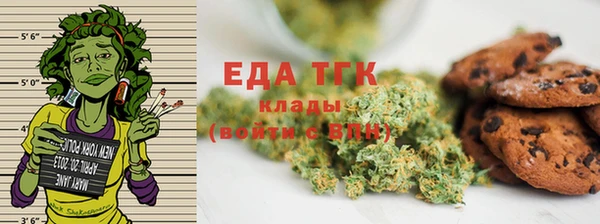 СК Горняк