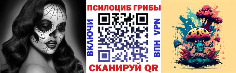 Купить  Славянск-на-Кубани  Псилоцибиновые грибы Magic Shrooms 